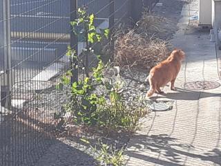 �摜(320x240)�E�g��摜(640x480)