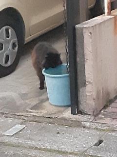 �摜(240x320)�E�g��摜(480x640)