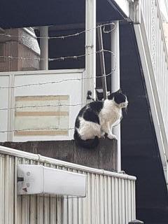 �摜(240x320)�E�g��摜(480x640)