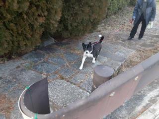 �摜(320x240)�E�g��摜(640x480)