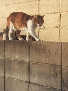 画像(240x320)・拡大画像(480x640)