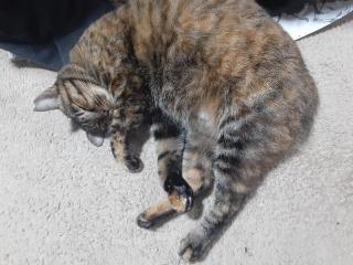 �摜(320x240)�E�g��摜(640x480)