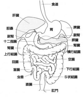 画像(266x320)・拡大画像(533x640)