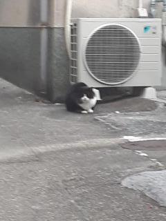 �摜(240x320)�E�g��摜(480x640)