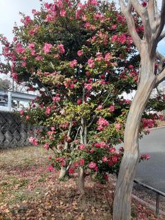 �摜(240x320)�E�g��摜(480x640)