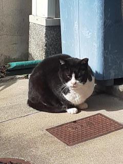 �摜(240x320)�E�g��摜(480x640)