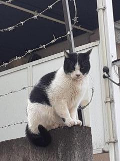 �摜(240x320)�E�g��摜(480x640)