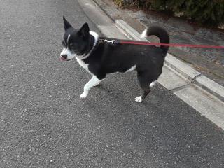 �摜(320x240)�E�g��摜(640x480)