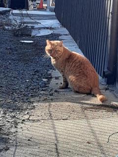 �摜(240x320)�E�g��摜(480x640)