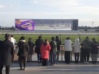 �摜(320x240)�E�g��摜(640x480)