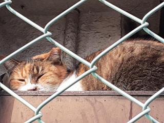 画像(320x240)・拡大画像(640x480)