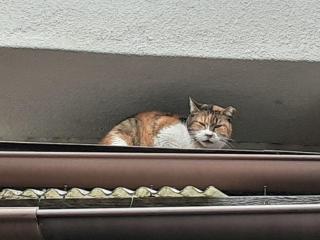 �摜(320x240)�E�g��摜(640x480)