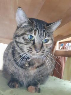 画像(240x320)・拡大画像(480x640)