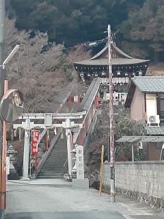 画像(240x320)・拡大画像(480x640)