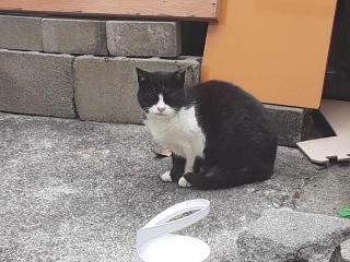 �摜(320x240)�E�g��摜(640x480)