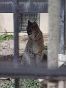 画像(135x180)・拡大画像(480x640)