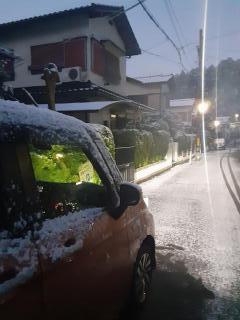 画像(240x320)・拡大画像(480x640)