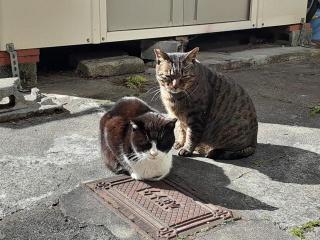 �摜(320x240)�E�g��摜(640x480)