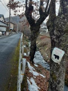 �摜(240x320)�E�g��摜(480x640)