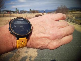 画像(320x242)・拡大画像(640x484)