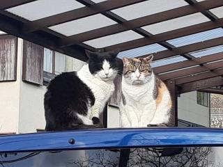 �摜(320x240)�E�g��摜(640x480)