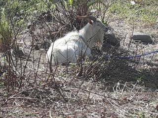 画像(320x240)・拡大画像(640x480)