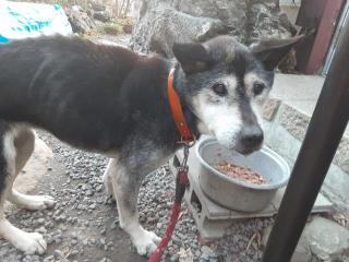 �摜(320x240)�E�g��摜(640x480)