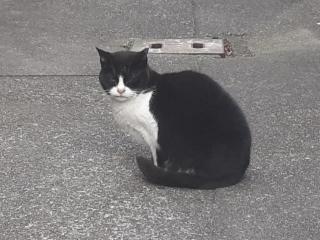 �摜(320x240)�E�g��摜(640x480)