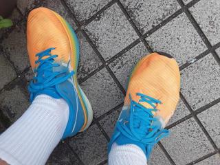 �摜(320x240)�E�g��摜(640x480)