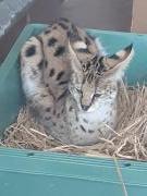 画像(135x180)・拡大画像(480x640)