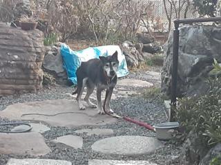 画像(320x240)・拡大画像(640x480)