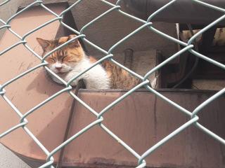 画像(320x240)・拡大画像(640x480)