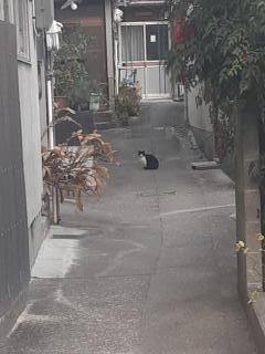 �摜(240x320)�E�g��摜(480x640)