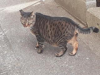 �摜(320x240)�E�g��摜(640x480)