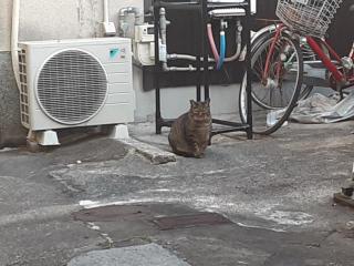 画像(320x240)・拡大画像(640x480)