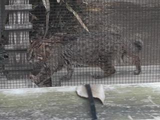 �摜(320x240)�E�g��摜(640x480)