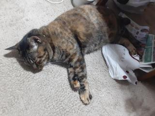 �摜(320x240)�E�g��摜(640x480)