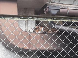 画像(320x240)・拡大画像(640x480)