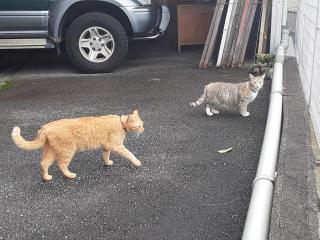 �摜(320x240)�E�g��摜(640x480)