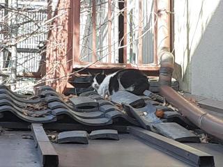 �摜(320x240)�E�g��摜(640x480)