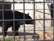 画像(180x135)・拡大画像(640x480)