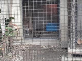 画像(320x240)・拡大画像(640x480)