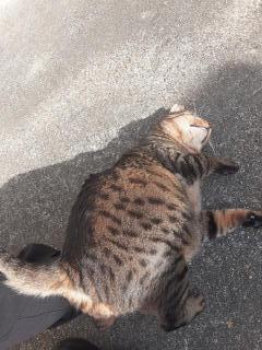 �摜(240x320)�E�g��摜(480x640)