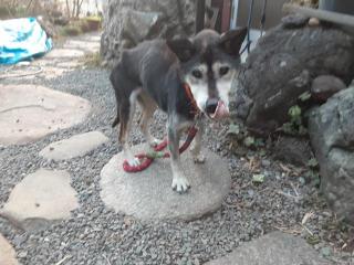 �摜(320x240)�E�g��摜(640x480)