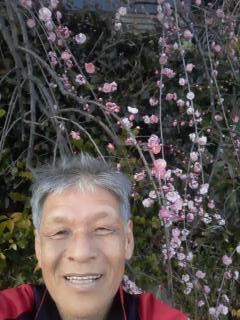 画像(240x320)・拡大画像(480x640)