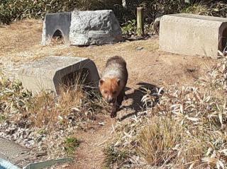 画像(320x239)・拡大画像(640x479)