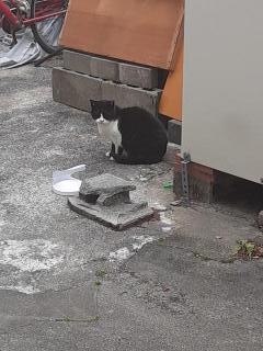 �摜(240x320)�E�g��摜(480x640)