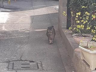 �摜(320x240)�E�g��摜(640x480)