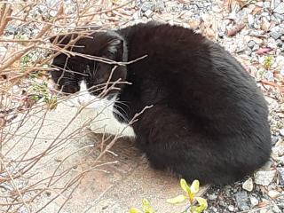 �摜(320x240)�E�g��摜(640x480)