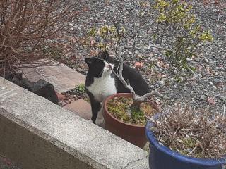 画像(320x240)・拡大画像(640x480)